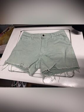 Universal Thread Light Sage Frayed Hem Jean Shorts